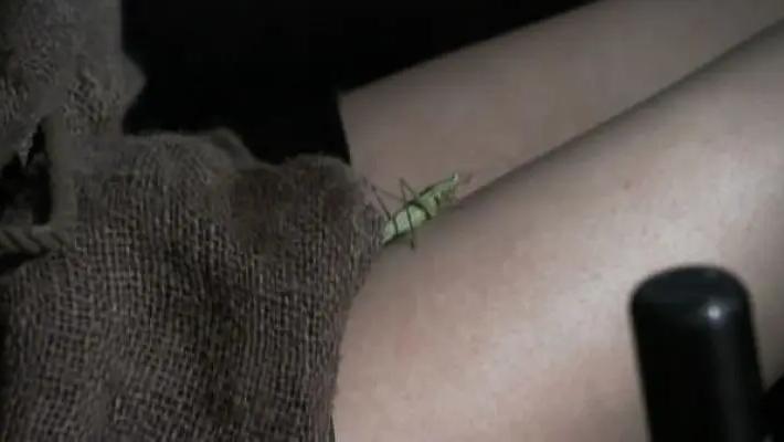 一部暴露人性的日本电影,日本女人的悲惨人生的电影