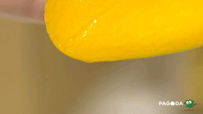 贵妃芒号称是芒果之王皮薄多汁,贵妃芒树上摘下来就能吃的芒果