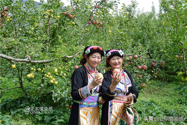 夜色成都串串爽,魅力小金苹果香#国庆中秋趣哪玩#