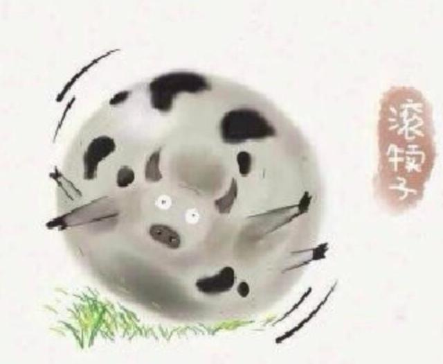 东北四大神兽滚犊子是啥？