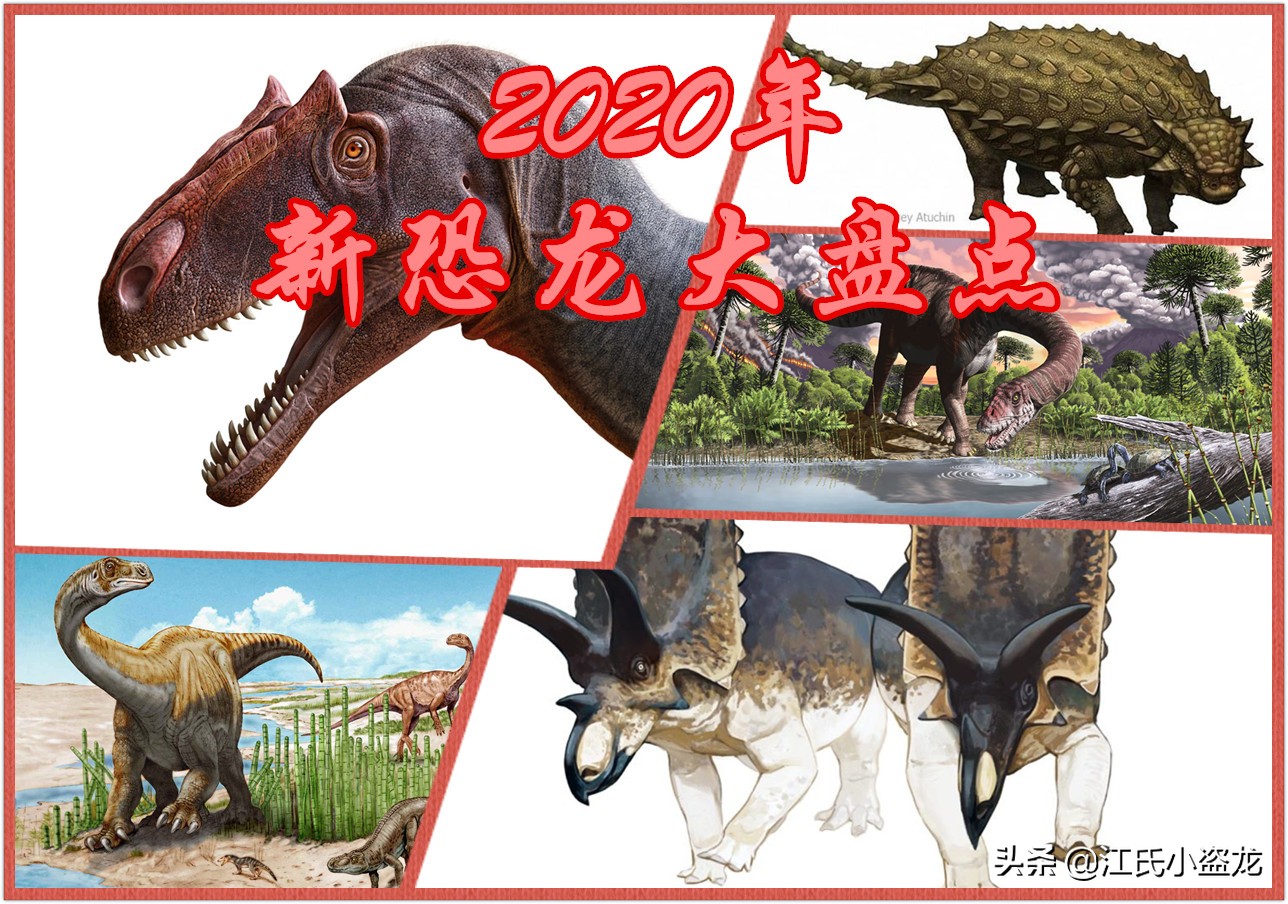 古生物学家发现恐龙新物种,古生物专家介绍侏罗纪