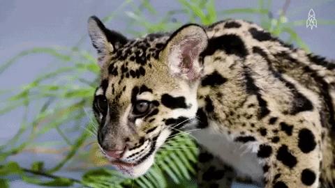 五颜六色鼻涕是什么原因,6类鼻涕暗示这些健康问题