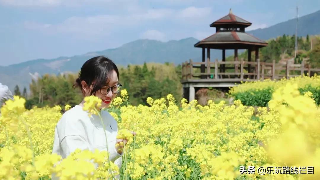 清明周末去哪玩？青田这个神仙山村必须打卡