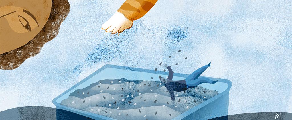 猫砂盆买什么样的最好,猫砂盆选什么的最合适