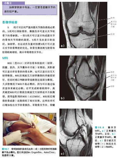 运动损伤的预防及处理小学生,运动损伤的预防与康复300字