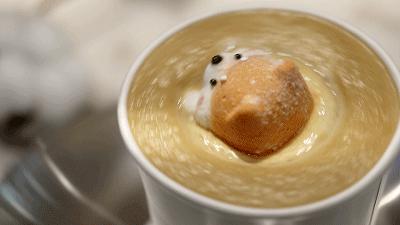 免费续杯的英文,加拿大续杯英文怎么说