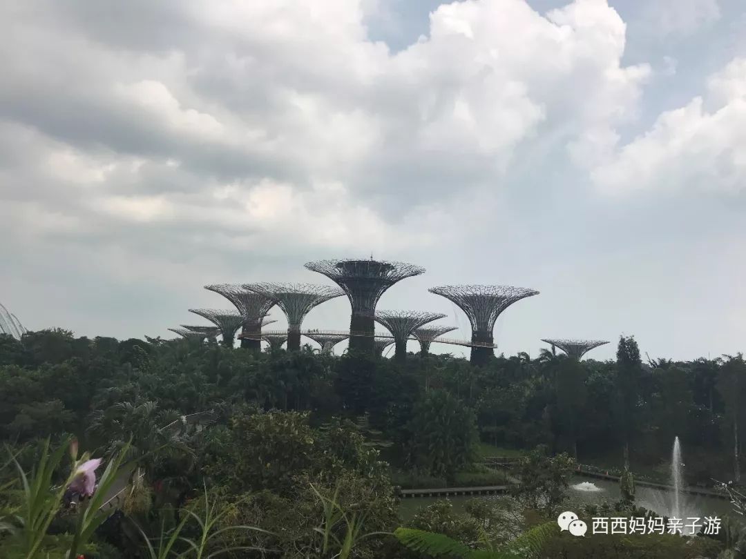 新加坡马来西亚乐高亲子游记（详细版）修改