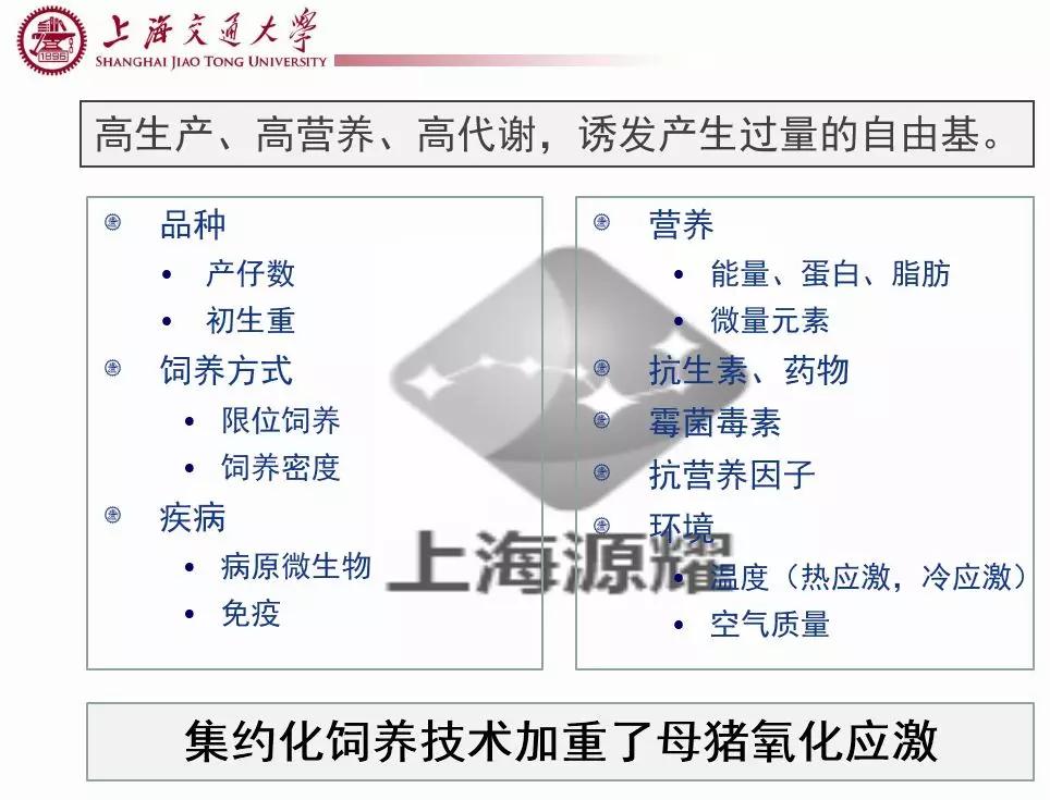 上海交大徐建雄教授直播课笔记：母猪氧化应激与营养调控