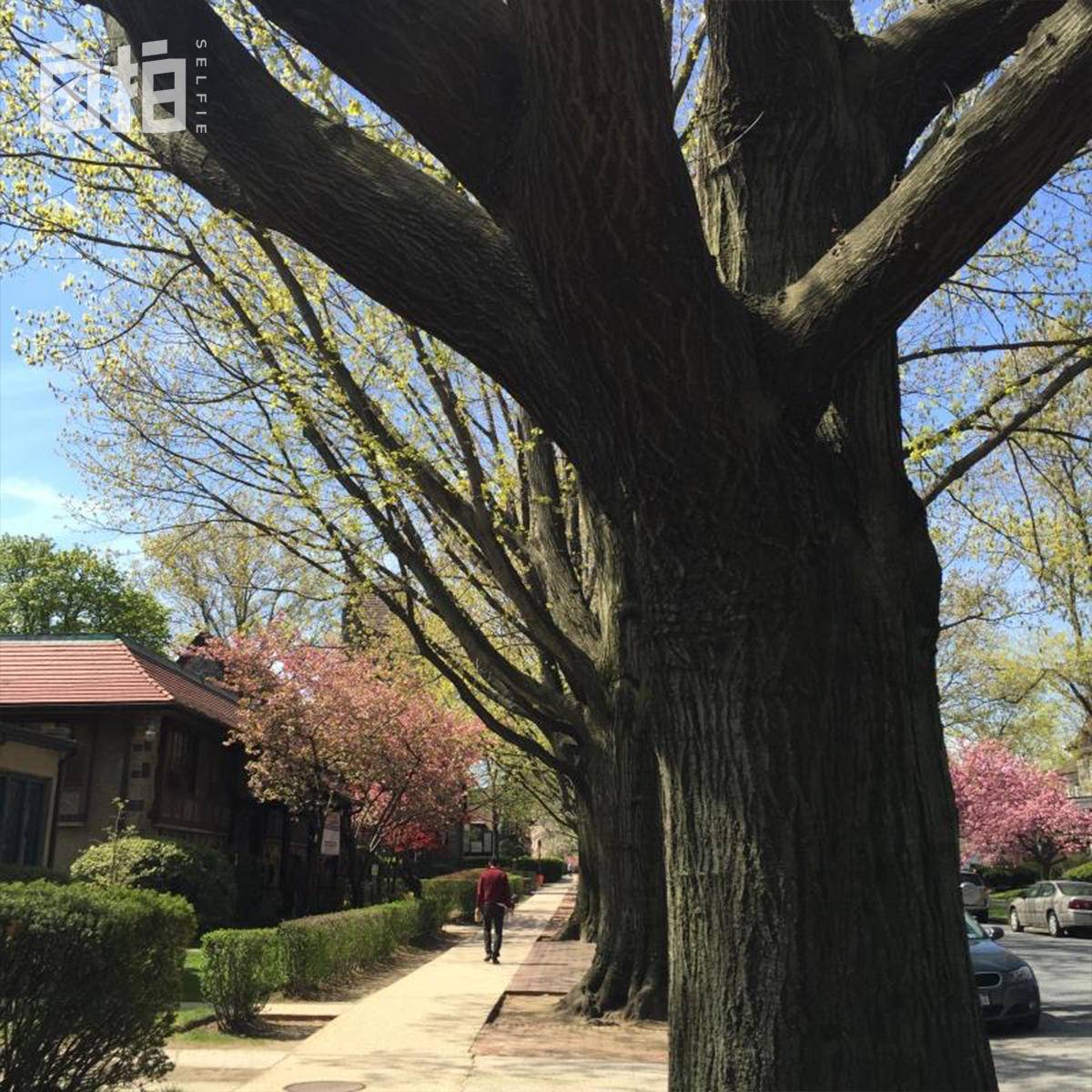 我卖掉北京房子，带着家人在美国打拼，发现美国不是想象中那样