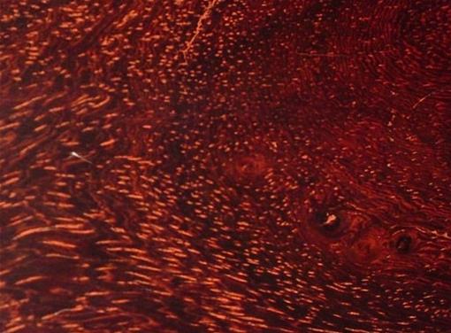 名贵硬木鉴赏,名贵木材收藏与鉴赏视频