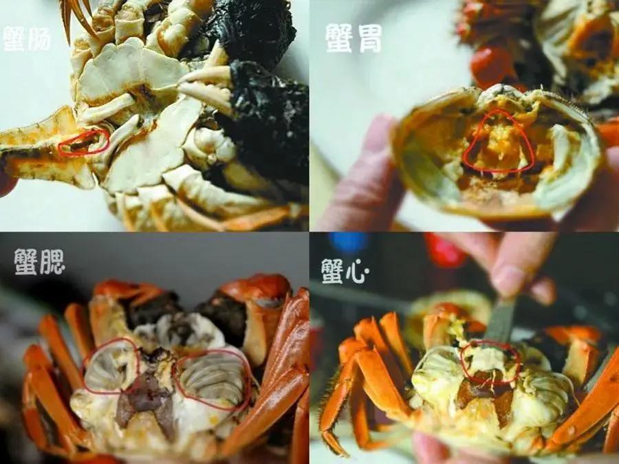 宝宝吃青蟹吃哪里的肉,儿童吃蟹注意事项