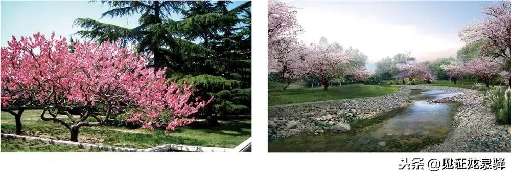 龙泉驿中医医院搬迁最新消息,龙泉驿区中医院新院区怎么样