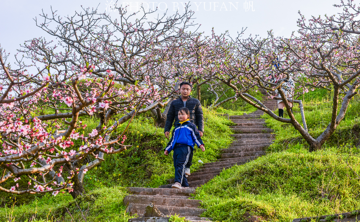 潼南桃花山景区,潼南春游踏青最佳地