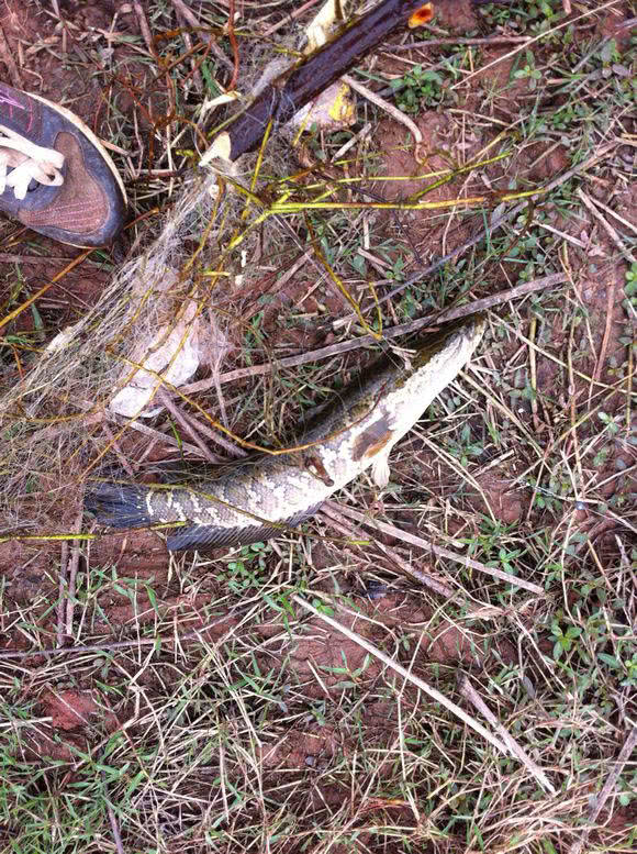 路亚打黑怎么找黑鱼,路亚钓法打黑