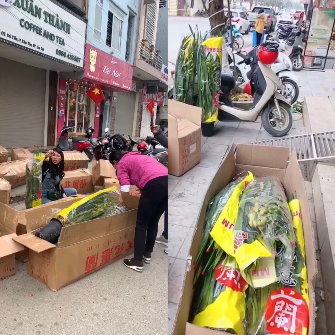 越南人“拼”出中式春节留守华人网购家乡味道