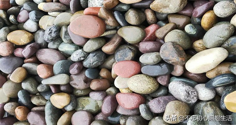 普通鹅卵石图片价格多少钱一吨,彩色鹅卵石价格多少钱一吨