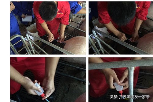 输精管堵不通畅能治疗吗,精子倒流导致不舒服