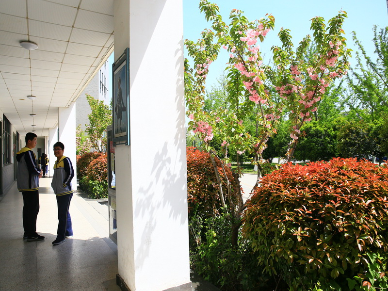 南京市中华中学怎么样,南京市中华中学傅清