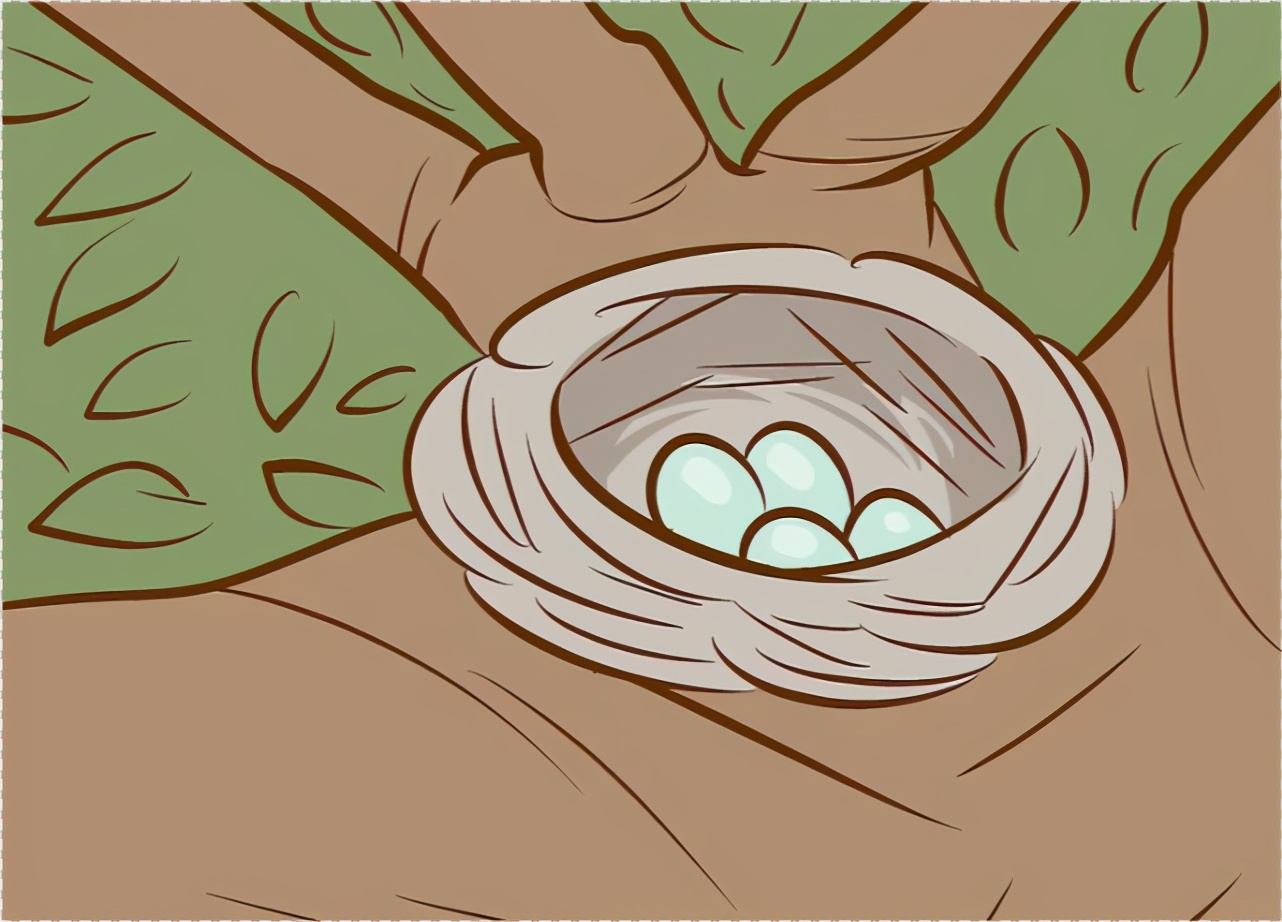 幼鸟从树上掉下来母鸟能救上去吗,幼鸟从树上的鸟巢中掉下来