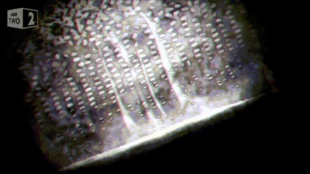 青春期身体长高办法有哪些,哪些青春期特征意味着停止长高