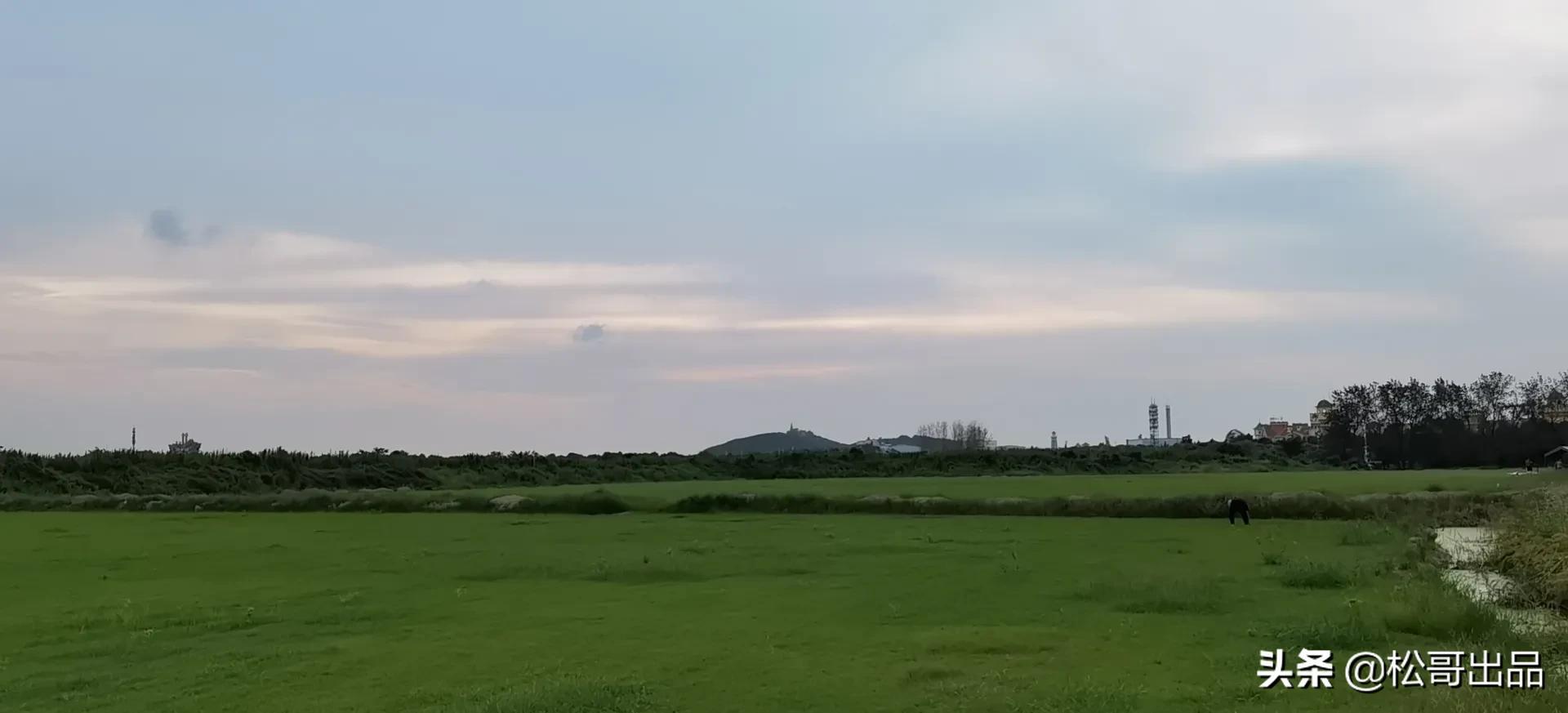 农家田园共享菜园,田园生活乐趣多上海菜园