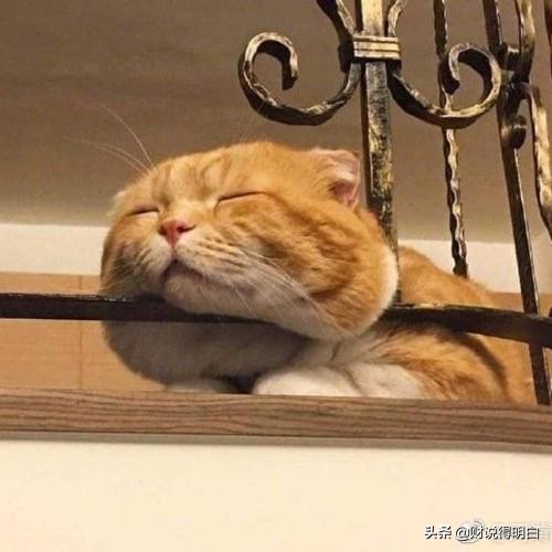 为什么创业失败率高达90%,12个创业失败的原因和教训