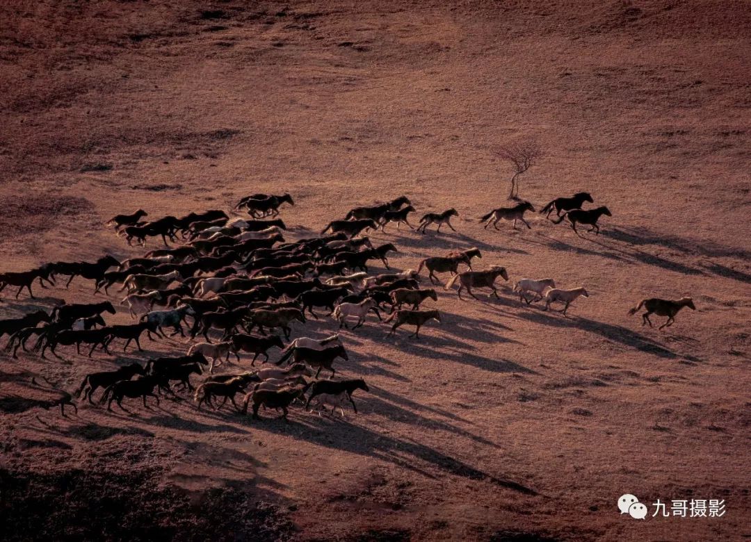 坝上草原天路美景,大美坝上风光系列之一