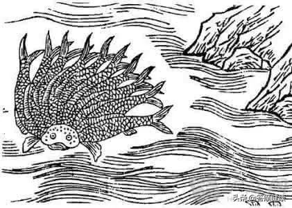 那些神秘的上古神兽真的存在吗,最新发现的上古神兽