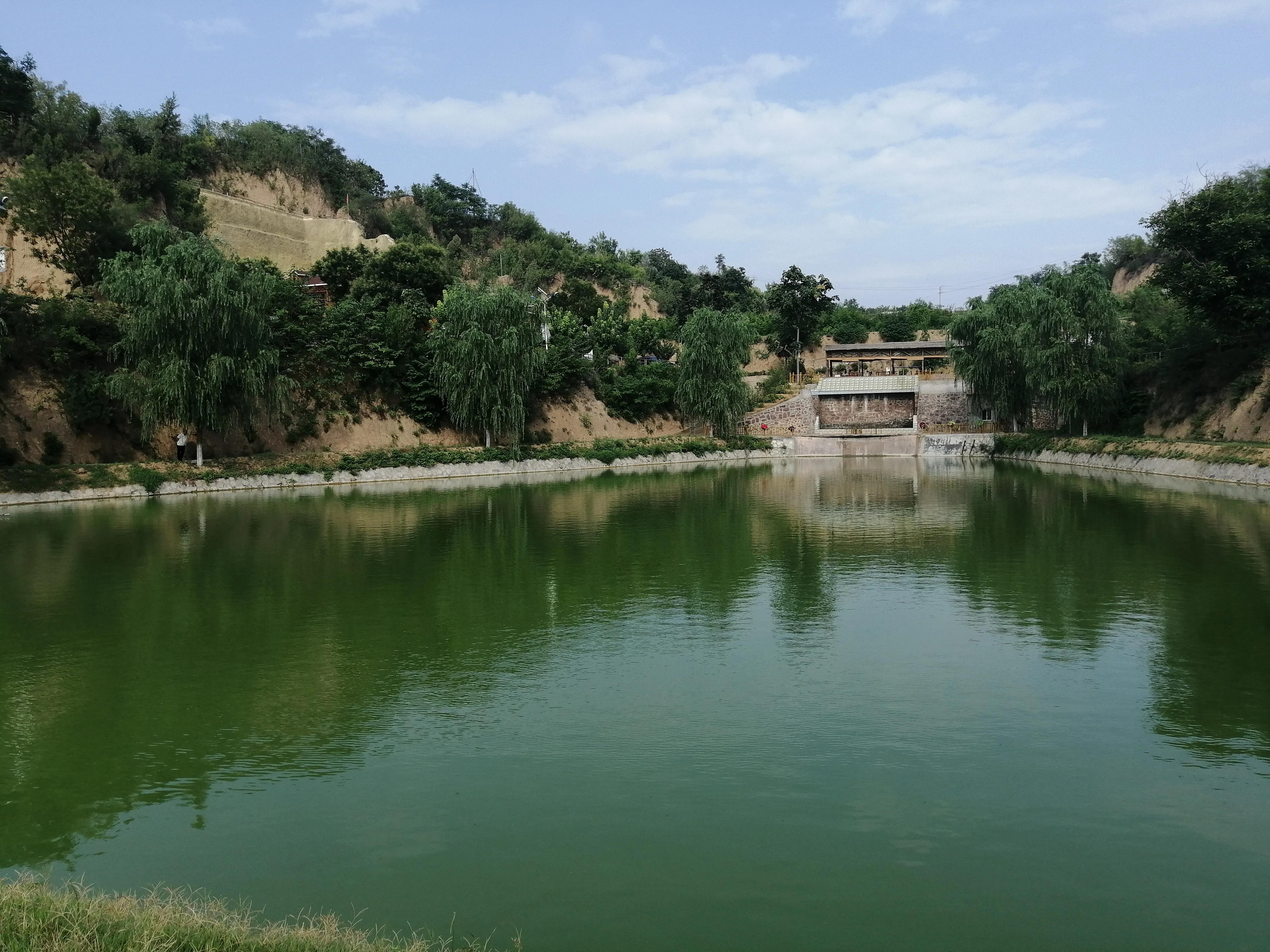 鱼内出血鳃出血怎么治,鱼病毒性出血病最佳治疗方法