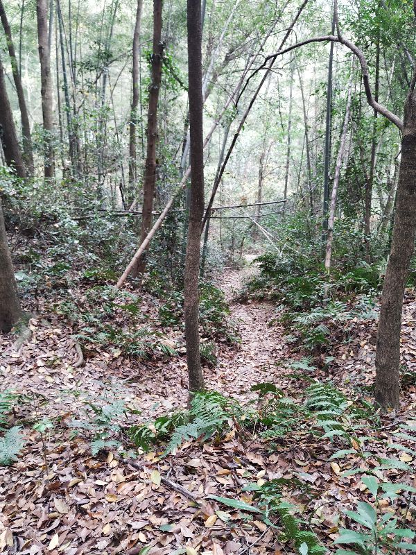 杭州市周末自驾游去哪里好玩,杭州出发周末旅游攻略