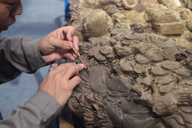 看一次就能学会的五种技术,看一眼就明白的技巧