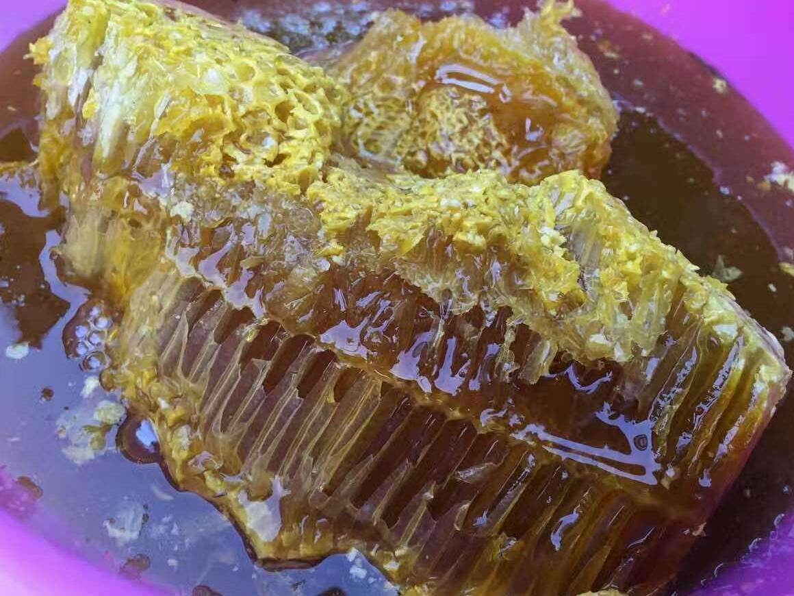 最好吃的十大山珍,八种顶级山珍