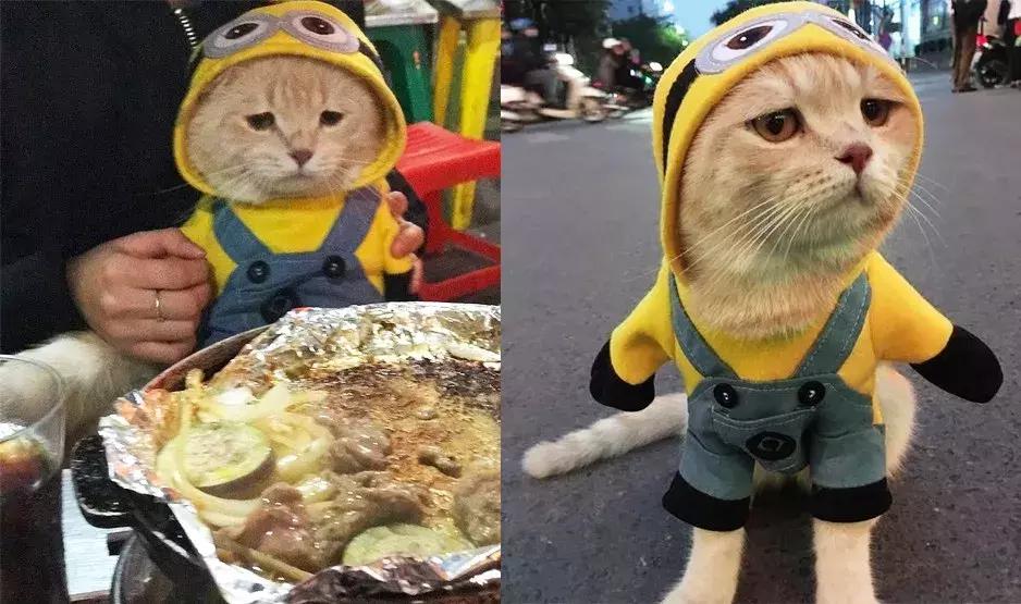 gucci和supreme联名马丁靴,guccisupreme鞋子