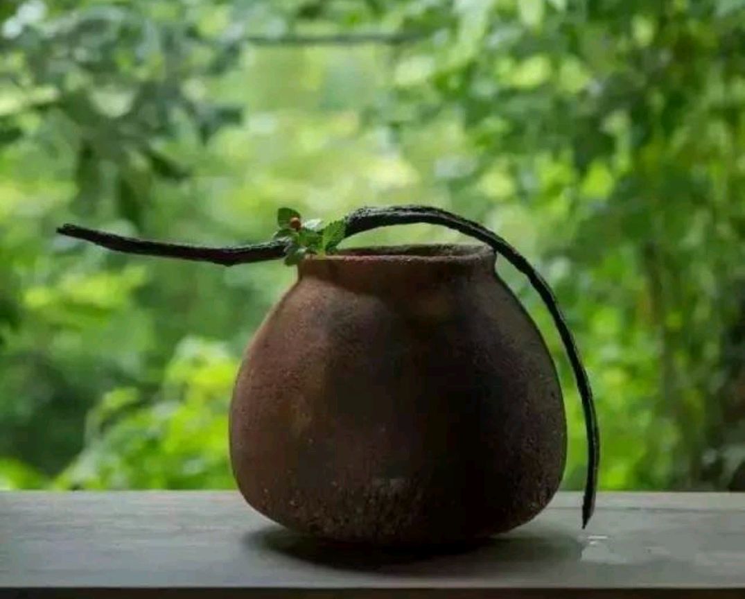 散文岁月因生命的淡然而静美,散文一颗纯净自我的心