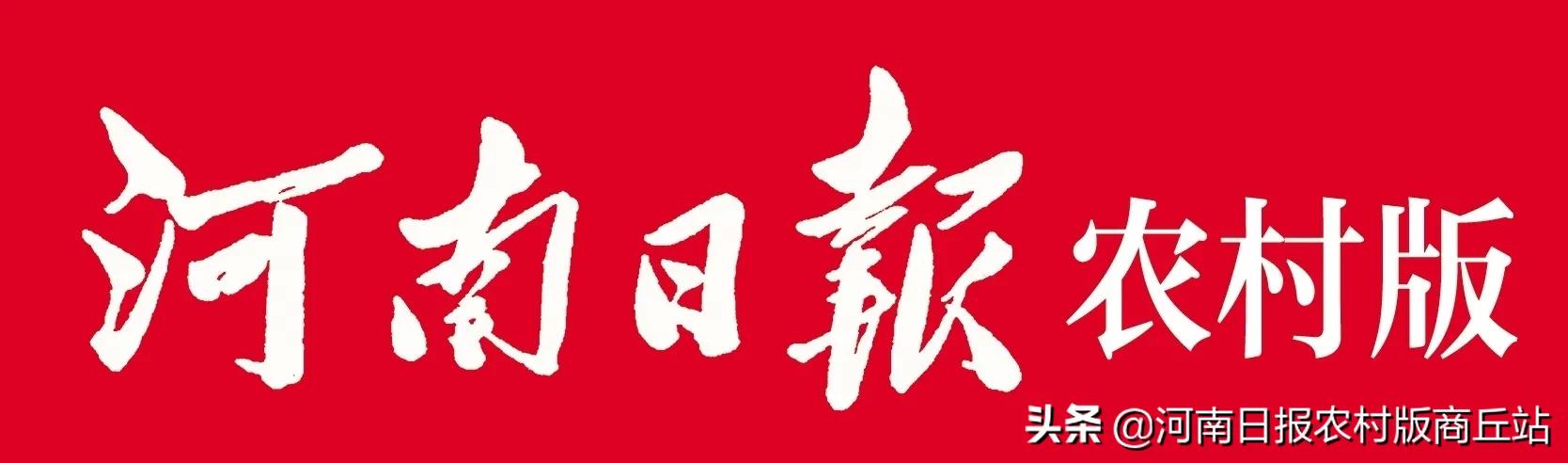 宁陵县王学航,宁陵县人民医院王学航医师
