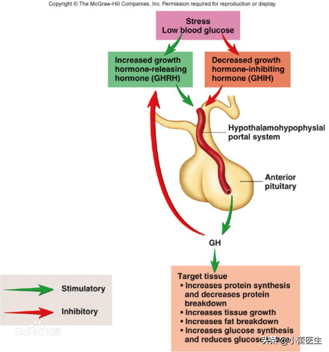 让“风湿病”患者又爱又恨的“激素”，医生帮您化解矛盾！