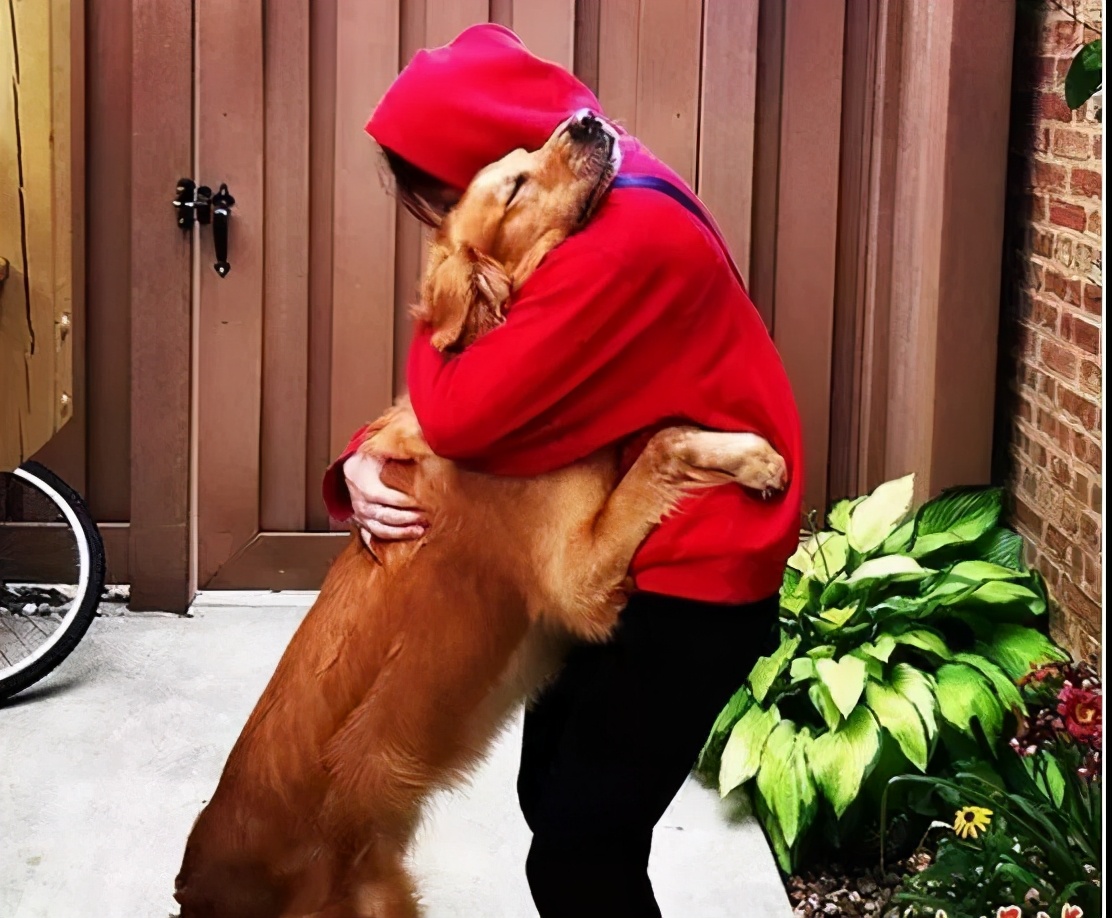 狗狗爱乱跑爱黏人怎么办,狗狗太粘人了怎么办一离开就叫