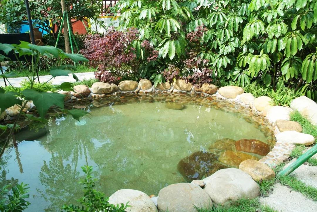 冬日温泉之旅,冬日暖阳温泉之旅