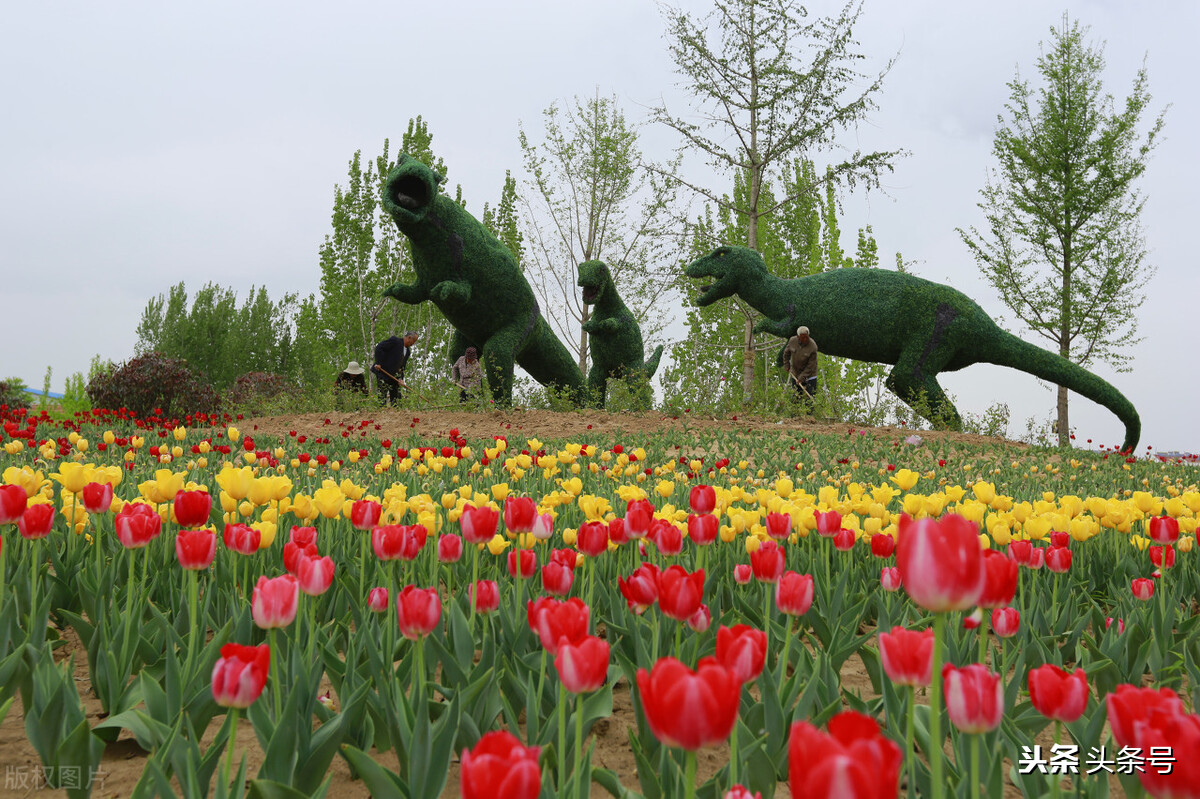 潍坊市刚入编教师待遇,潍坊各区教师待遇排行