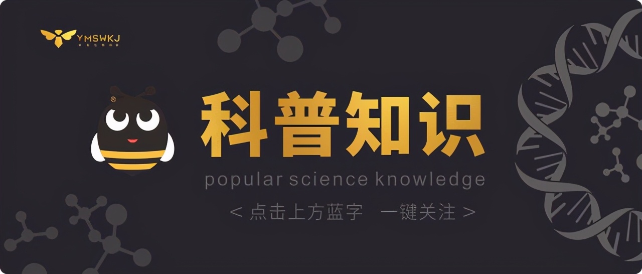 泡澡泡出健康身体,身上痒泡澡用什么东西泡对身体好