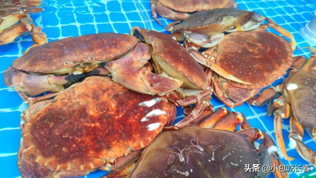 住邦夜市开了吗,住邦夜市在哪