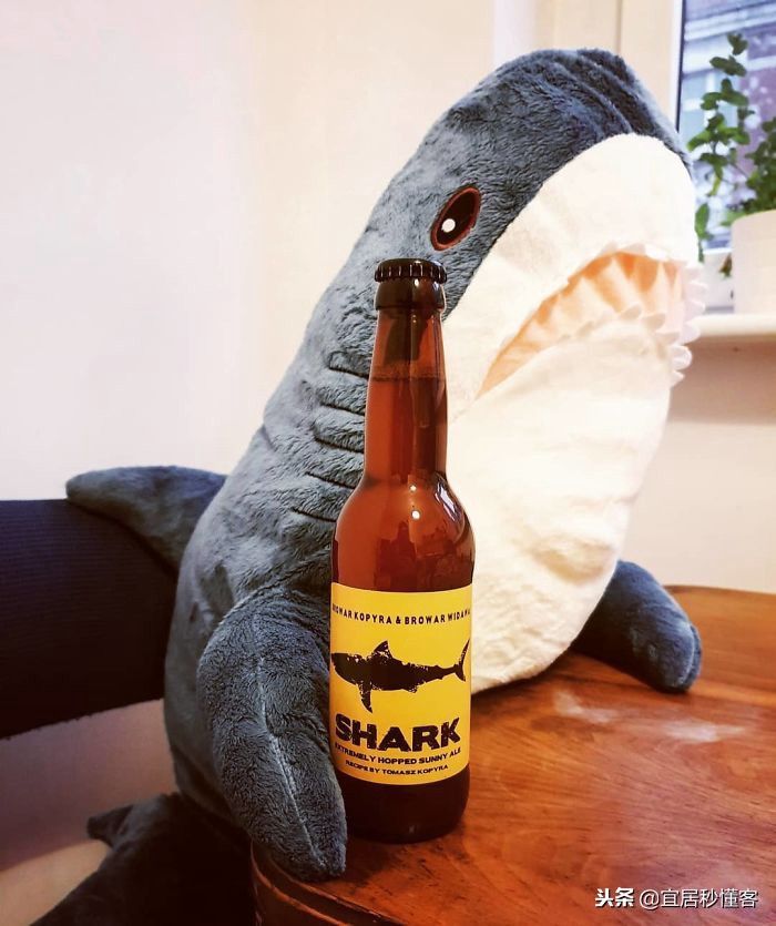 宜家小鲨鱼,为什么宜家鲨鱼火了