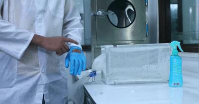 驱蚊剂治蚊子最好的方法,小蚊子的克星是什么