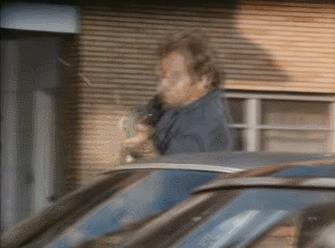 mini14伤害力是多少点,暗区mini14对比和平精英mini14