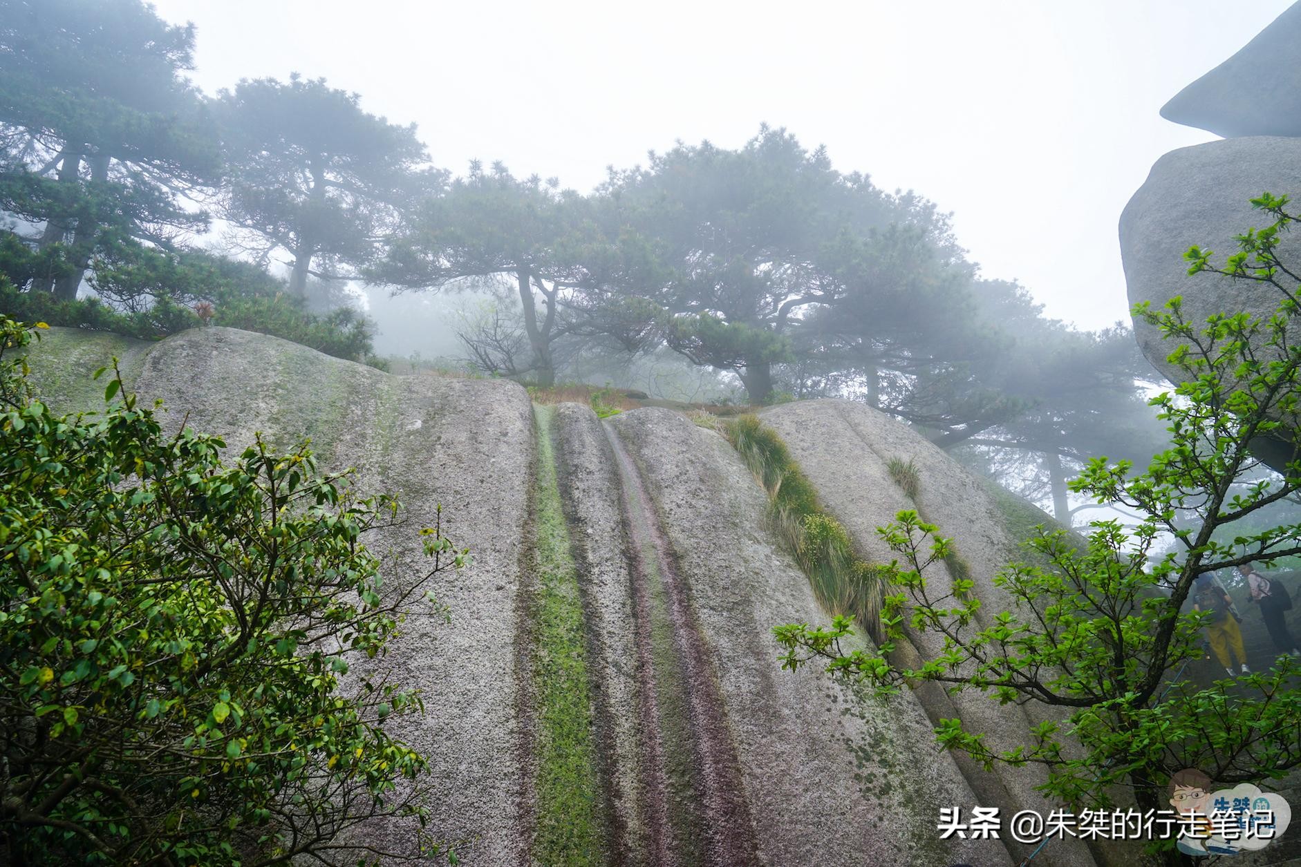 安徽九华山和黄山关系,安徽省简称皖的由来是哪座山