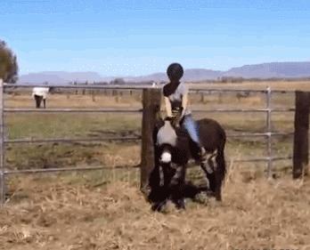 为什么有人相信算命这种伪科学,原来算命有这么多真事