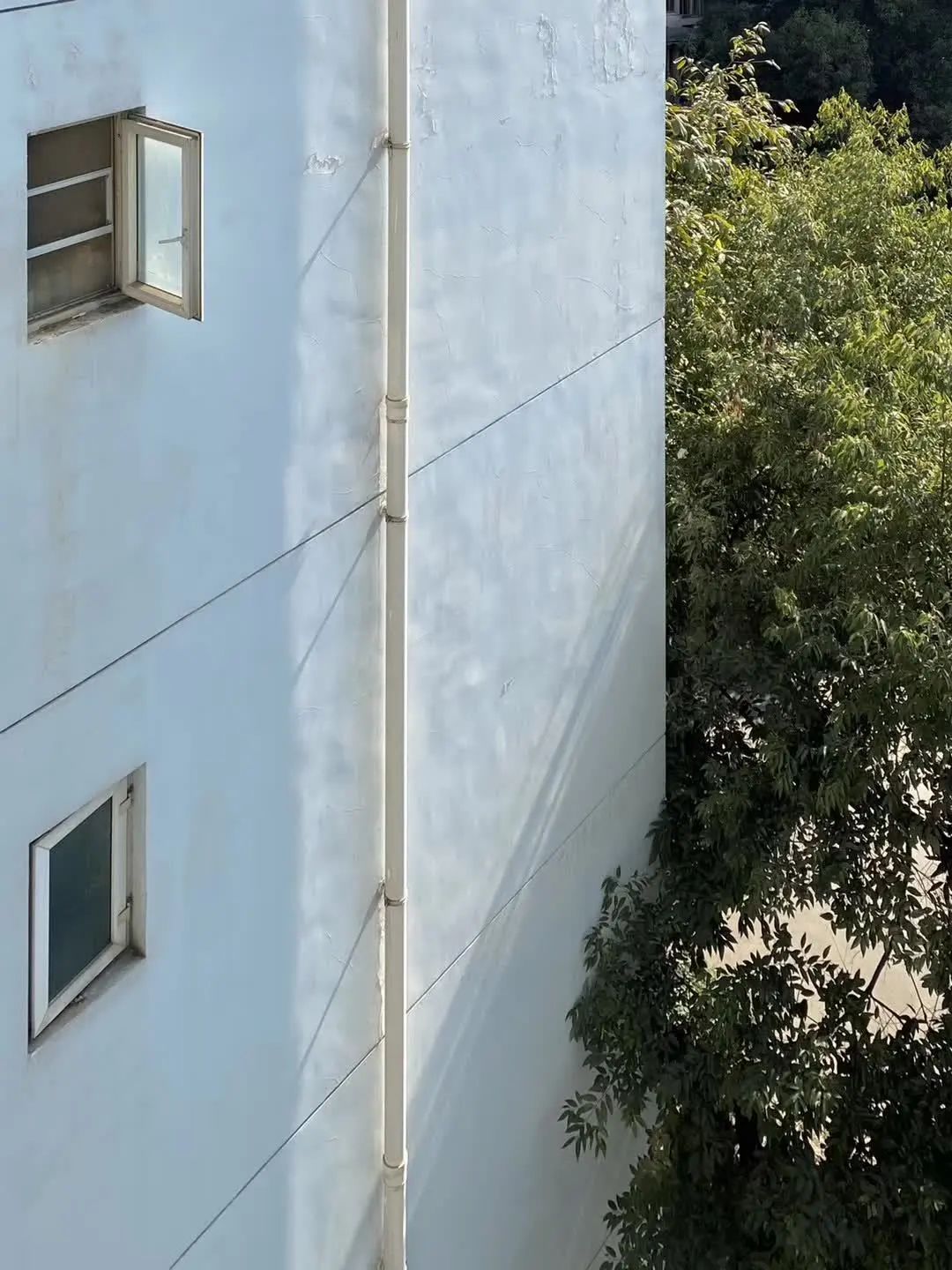 CBD里的Chloe、AmandaandKatharine，都在㳽到脑壳买农副产品