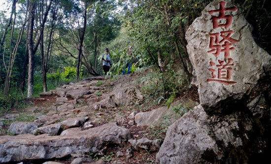 李卫被官差处理,混混冒充钦差救人视频