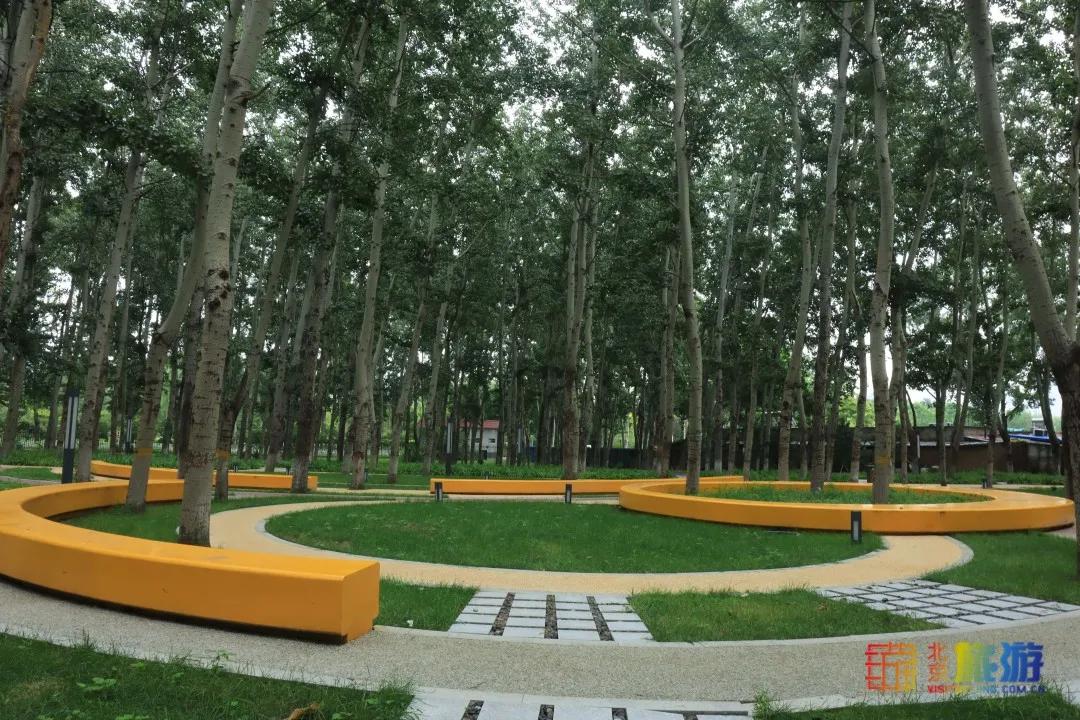 免费！市区就有“小森林”，花海芳香扑鼻！还有美好的祝福送给你