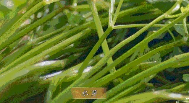 这“八仙”里，藏着最地道的江南味道